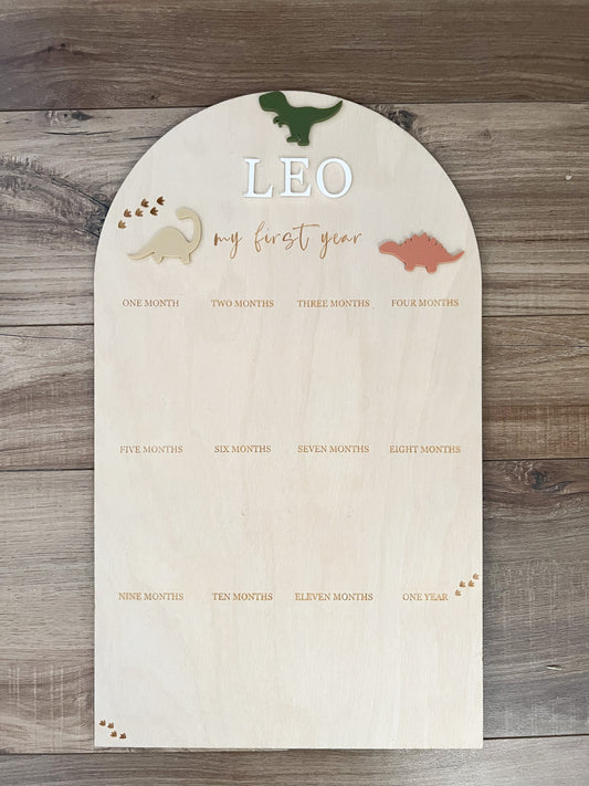 Baby First Year Dinosaur Photo Board