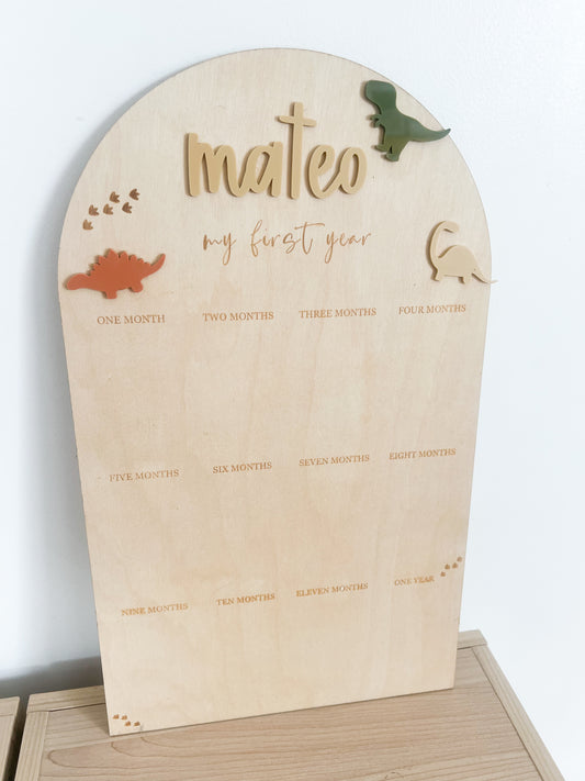 Baby First Year Dinosaur Photo Board